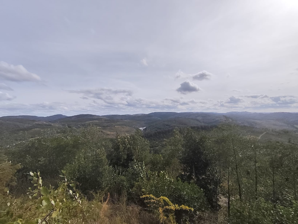 offizieller MTB Trail