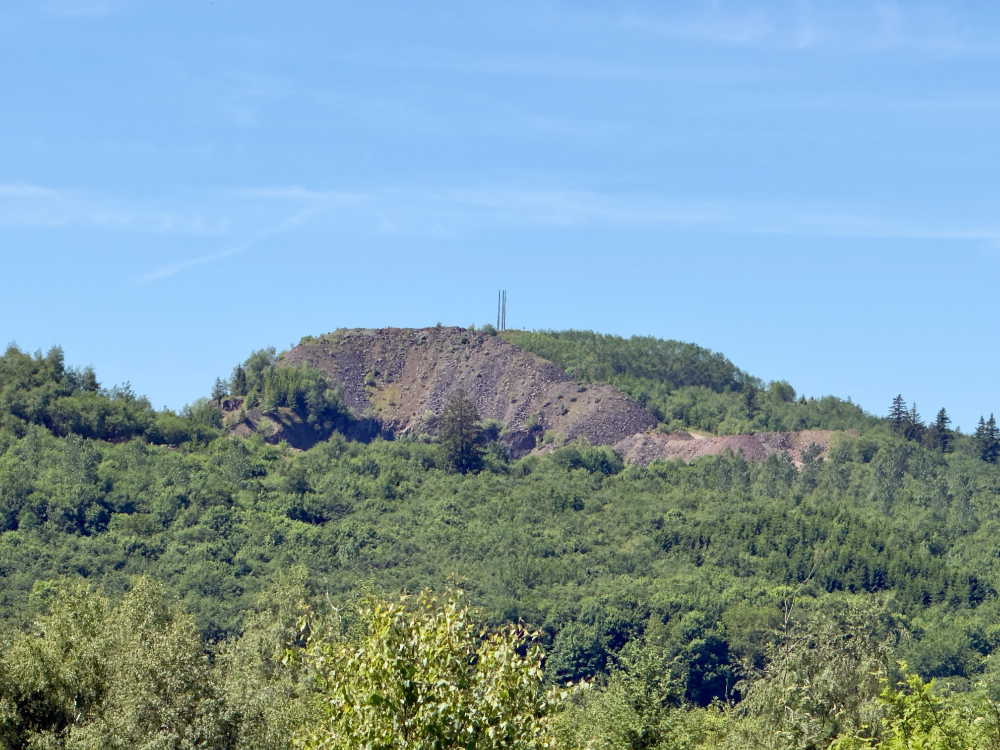 offizieller MTB Trail