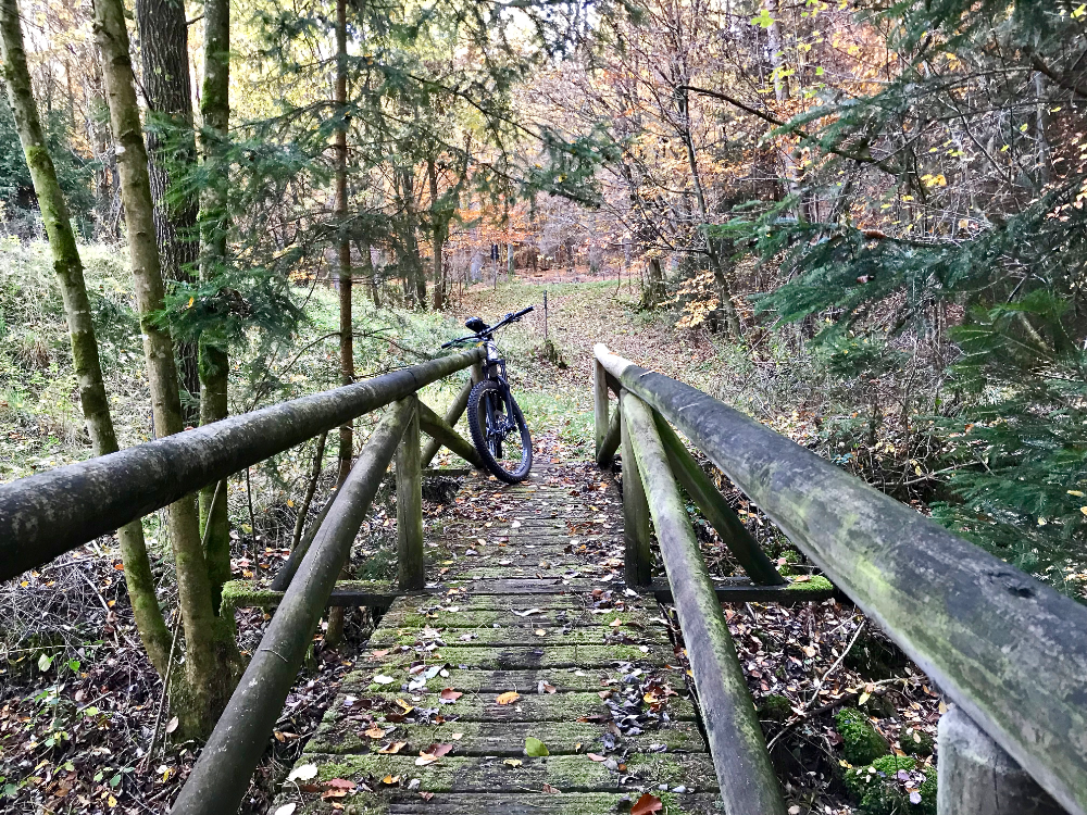 offizieller MTB Trail