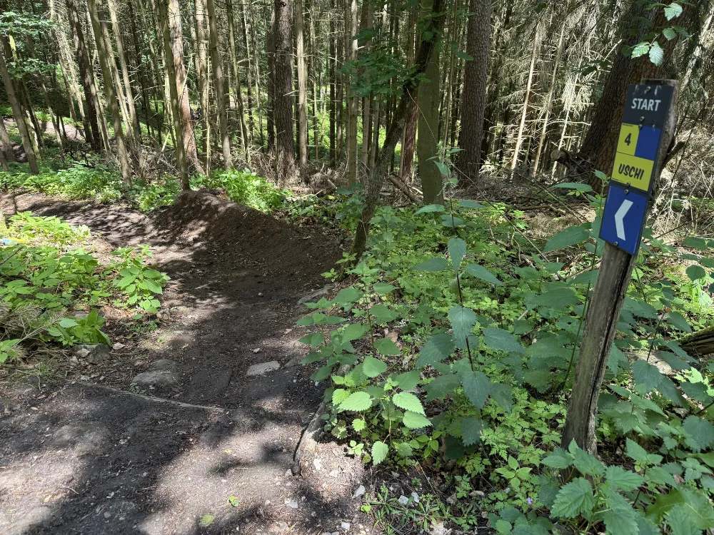 offizieller MTB Trail