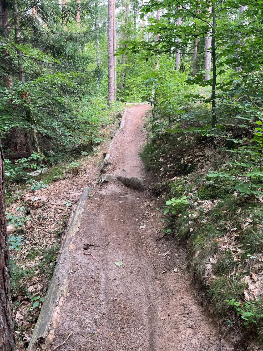 offizieller MTB Trail