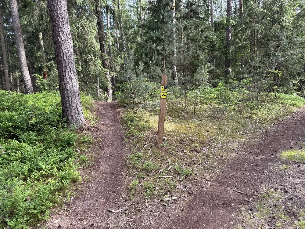 offizieller MTB Trail