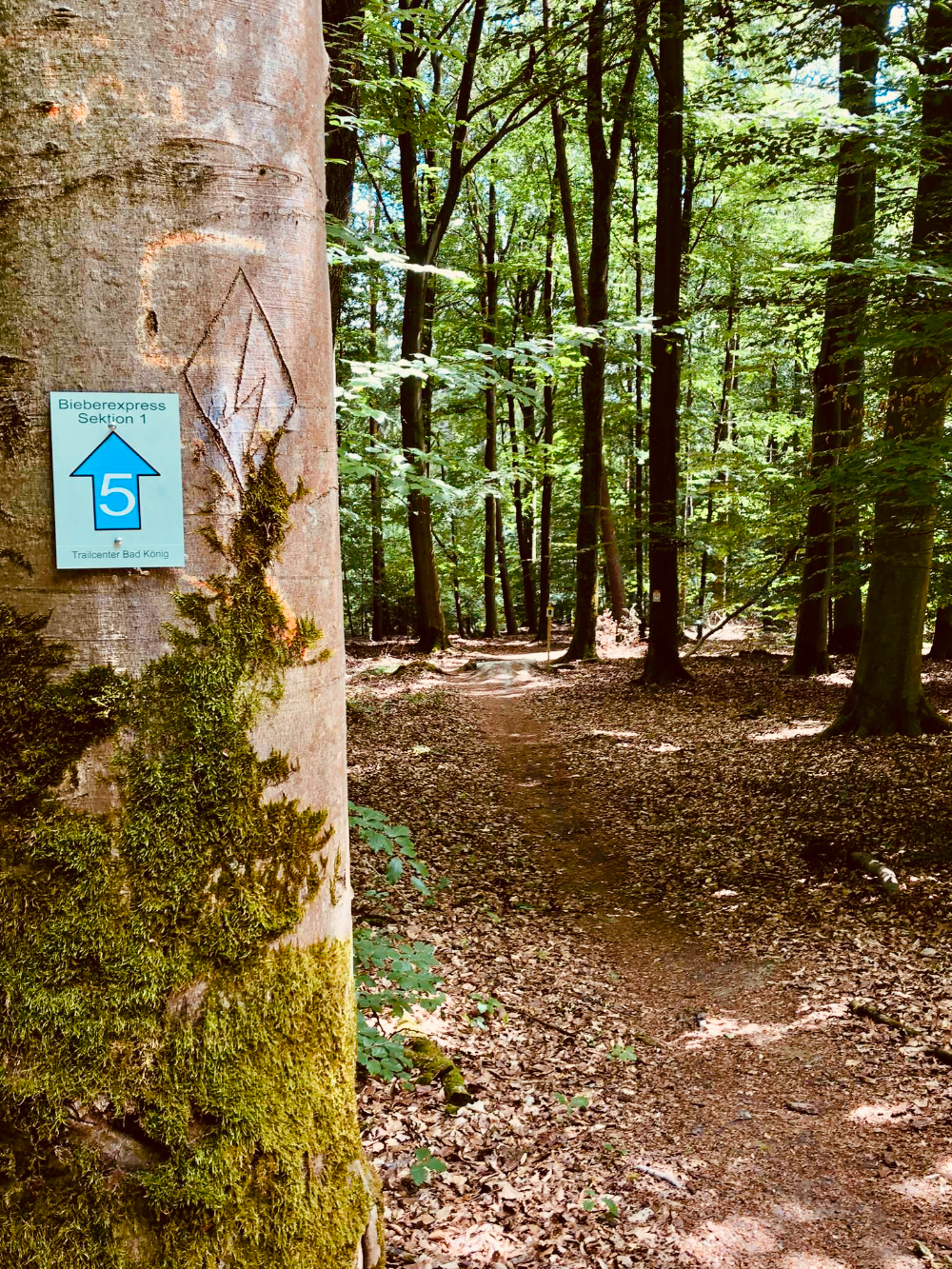 offizieller MTB Trail