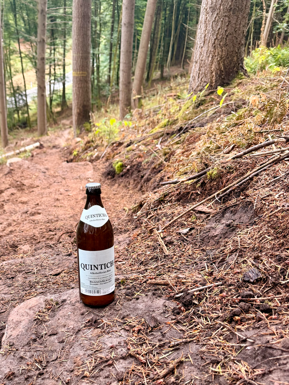 offizieller MTB Trail