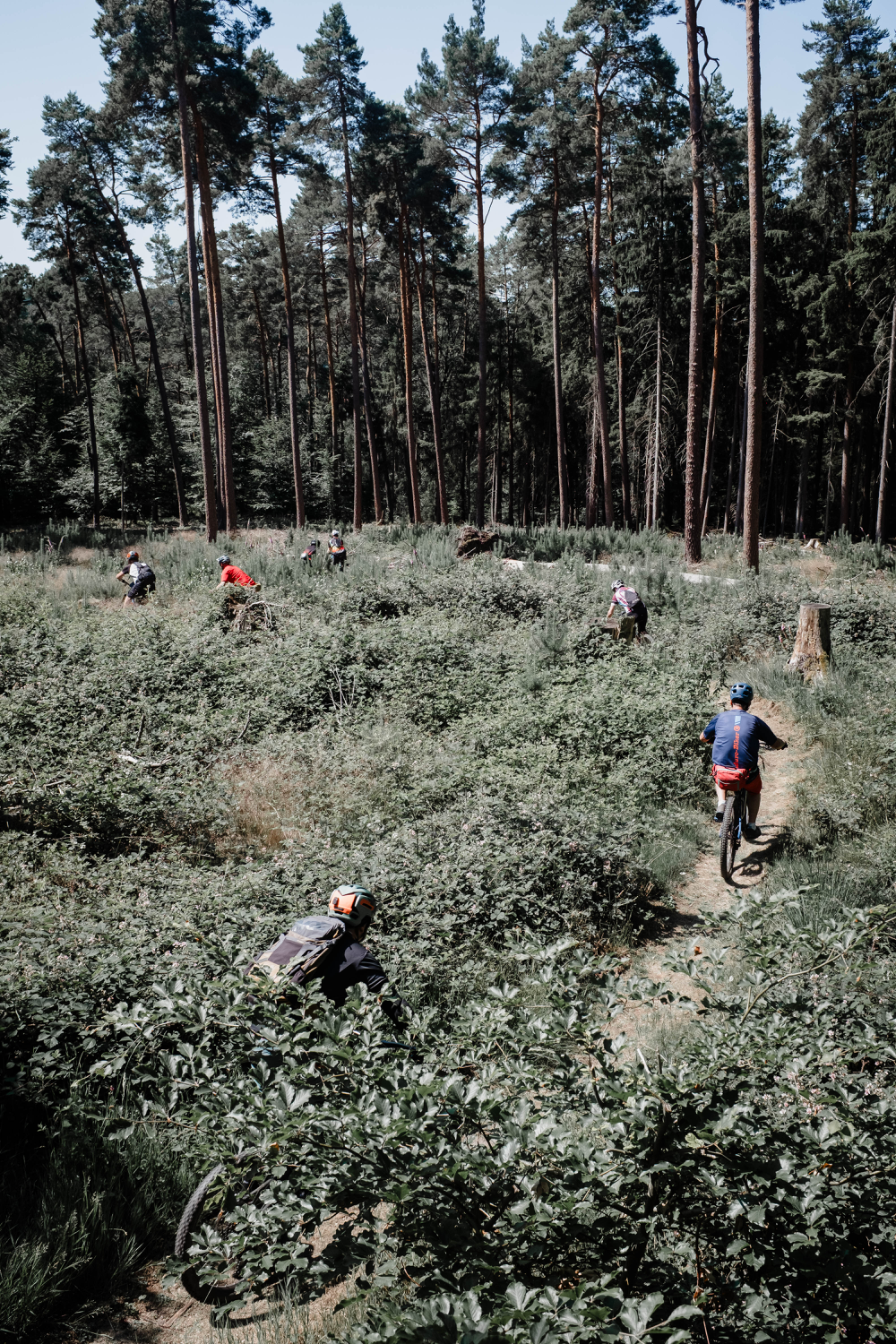 offizieller MTB Trail