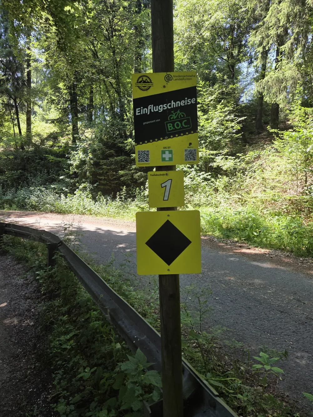 offizieller MTB Trail