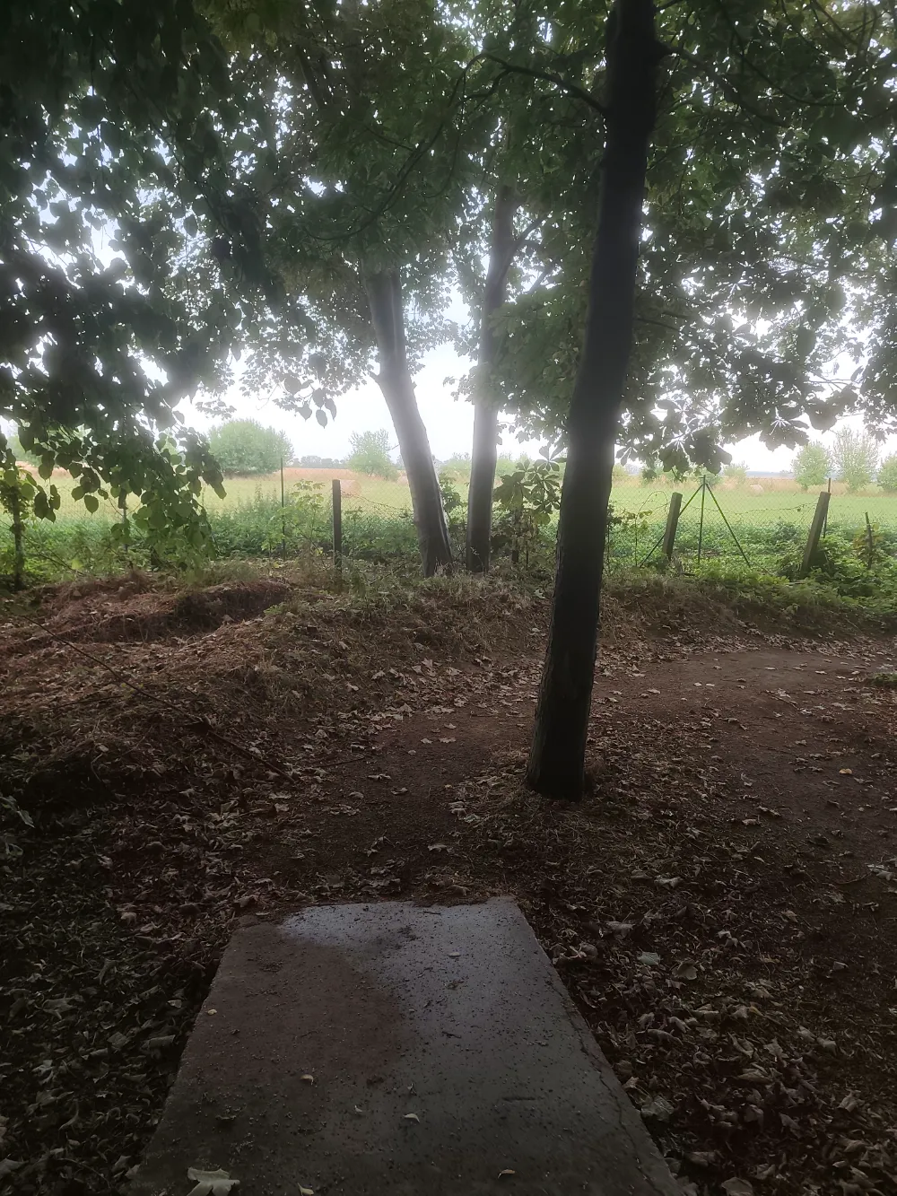 offizieller MTB Trail