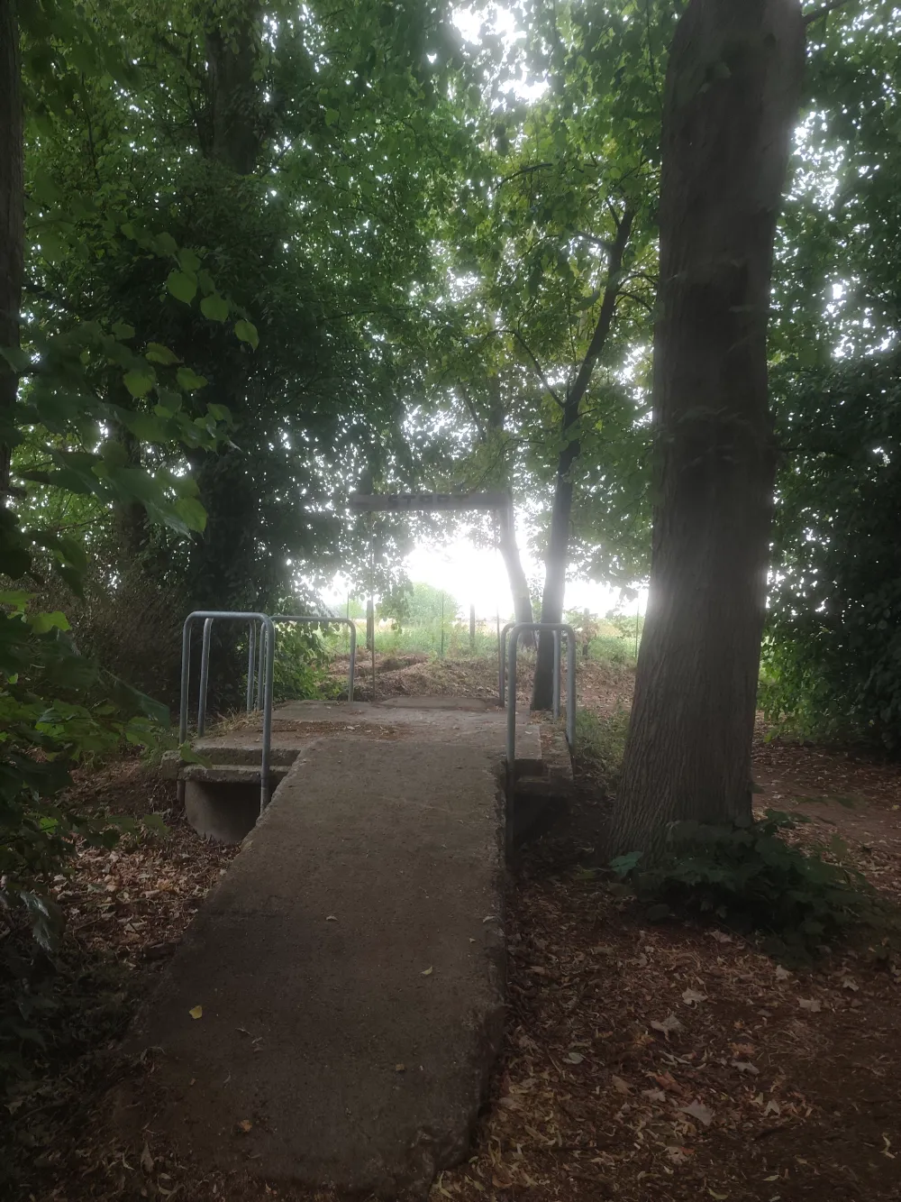 offizieller MTB Trail