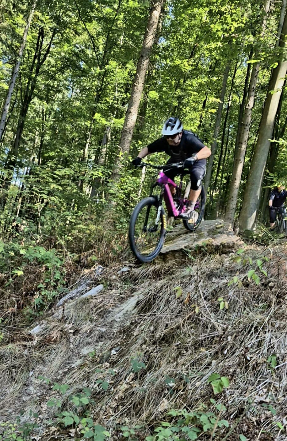 offizieller MTB Trail