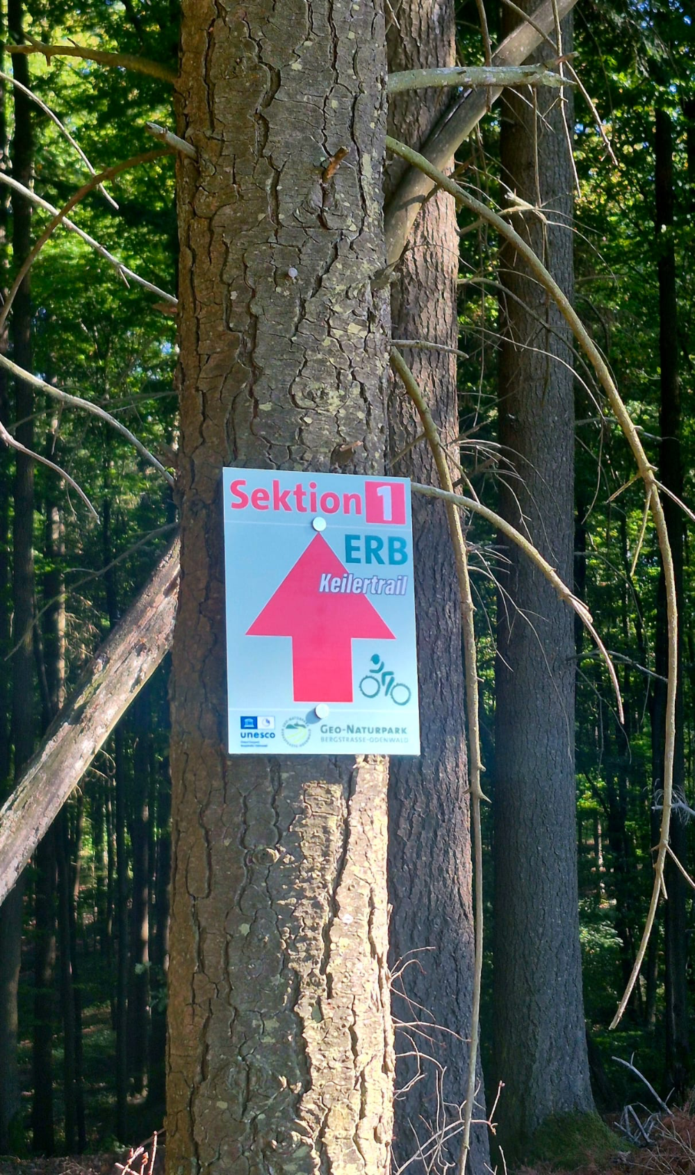 offizieller MTB Trail