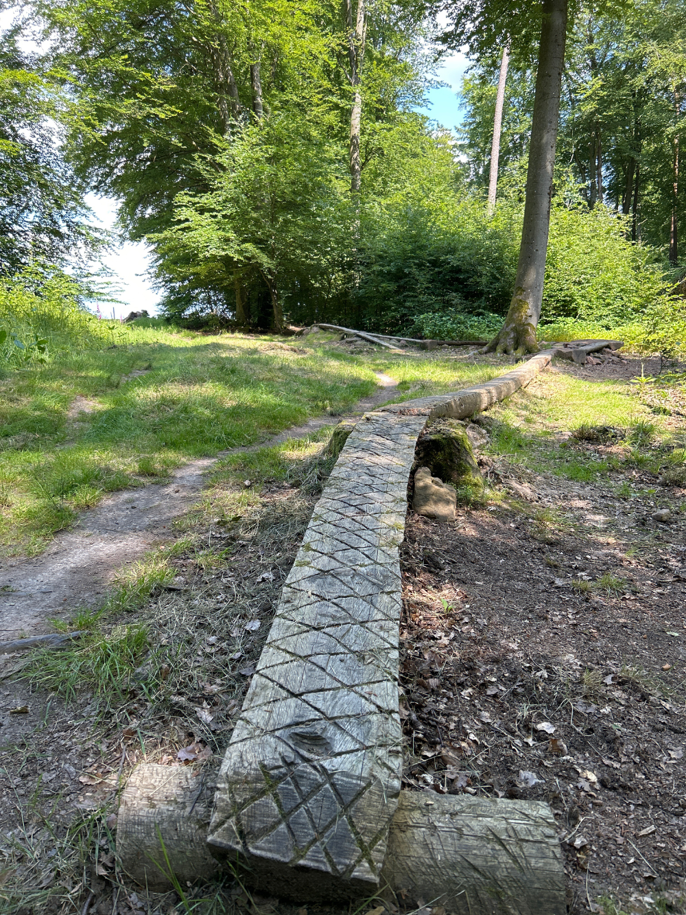 offizieller MTB Trail