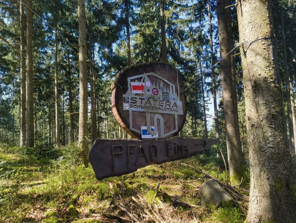 offizieller MTB Trail