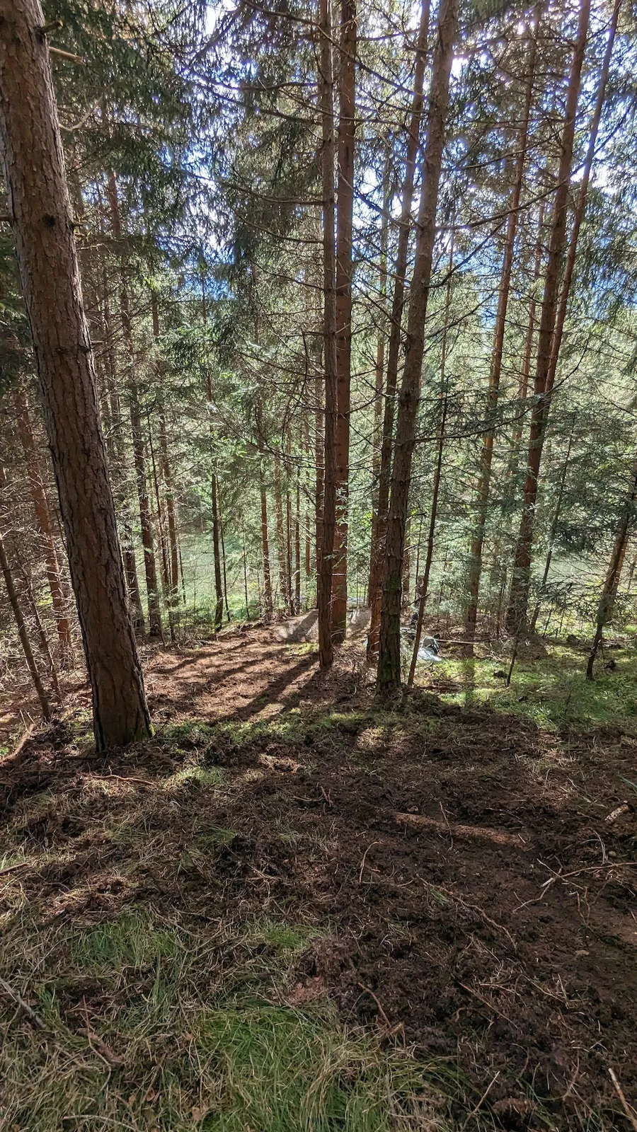 offizieller MTB Trail