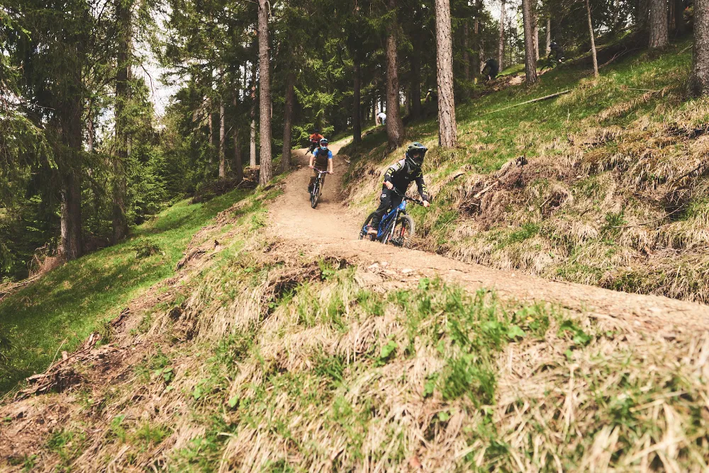 offizieller MTB Trail