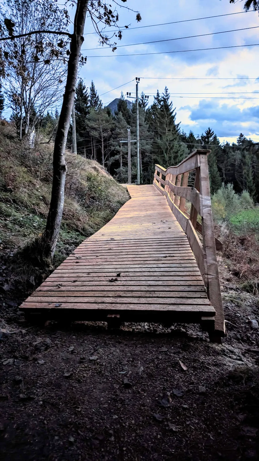 offizieller MTB Trail