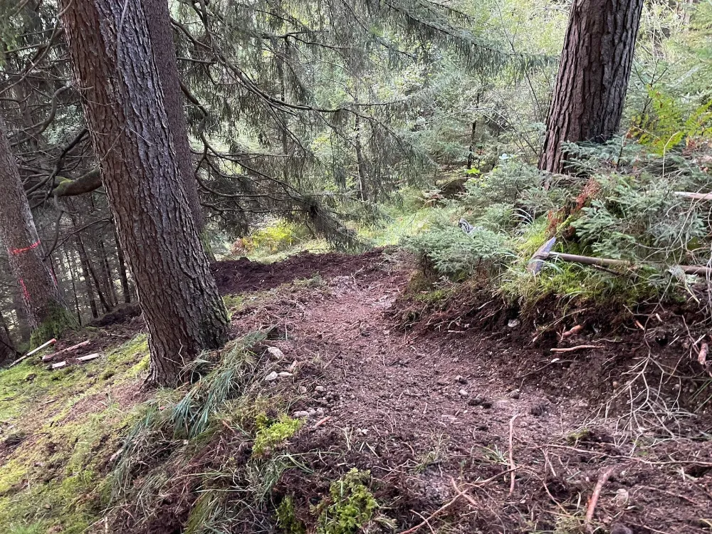 offizieller MTB Trail