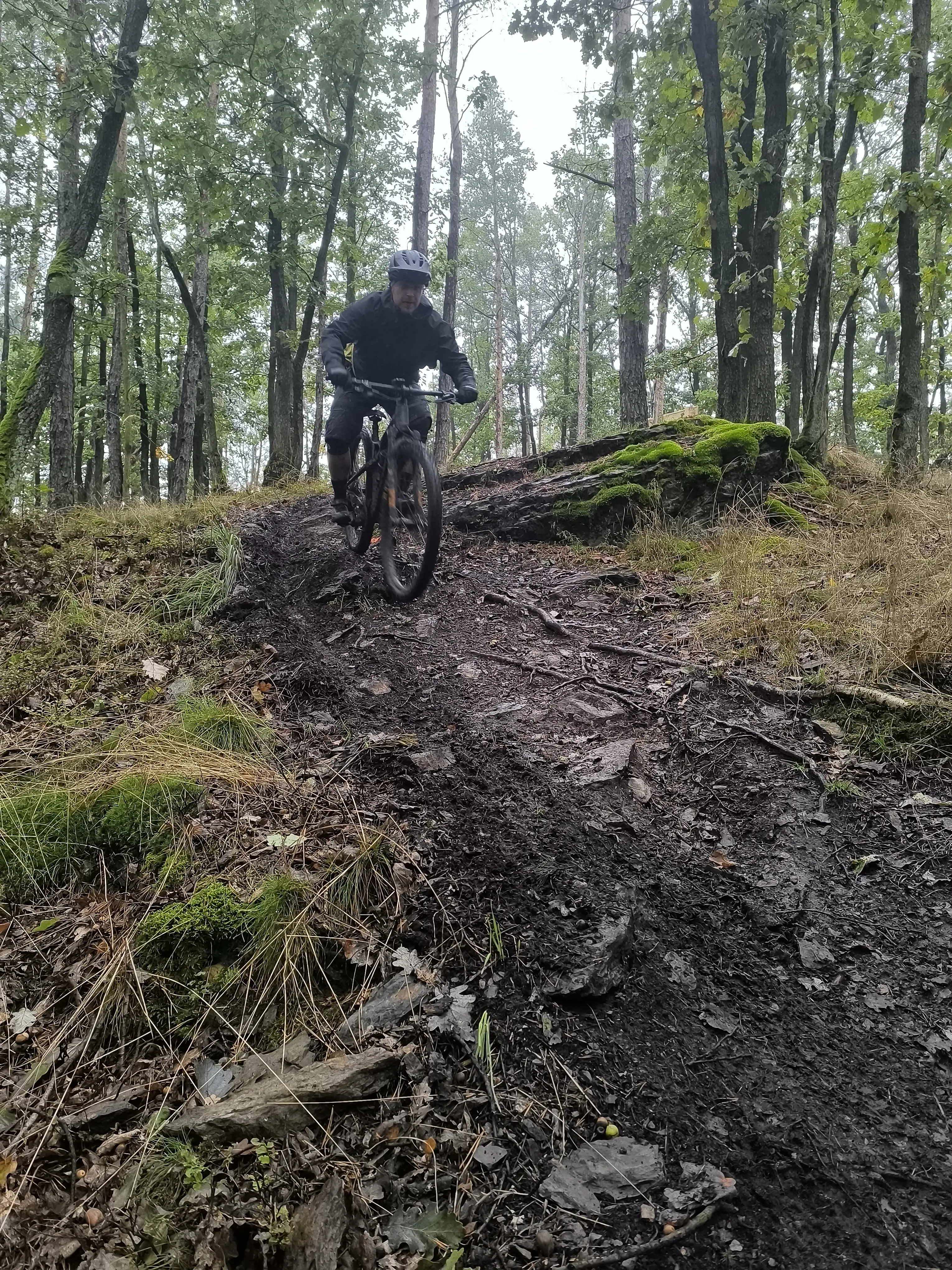 offizieller MTB Trail