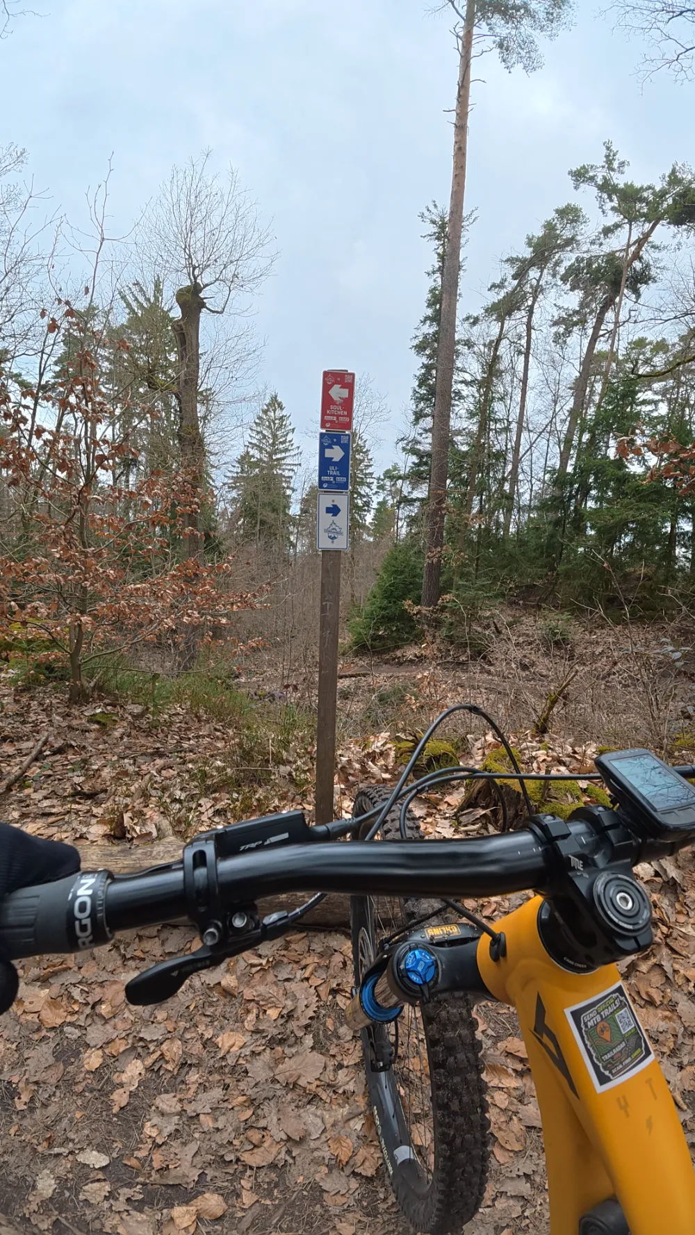 offizieller MTB Trail