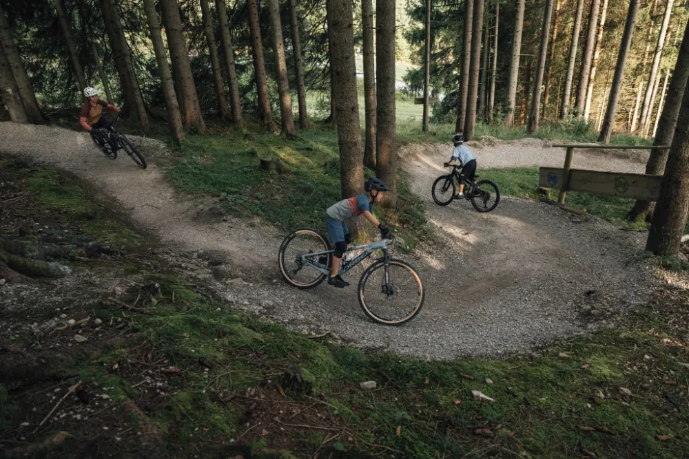 offizieller MTB Trail