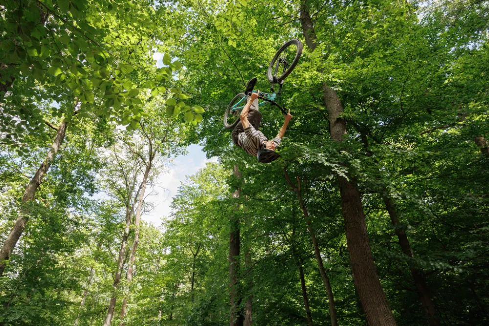 offizieller MTB Trail